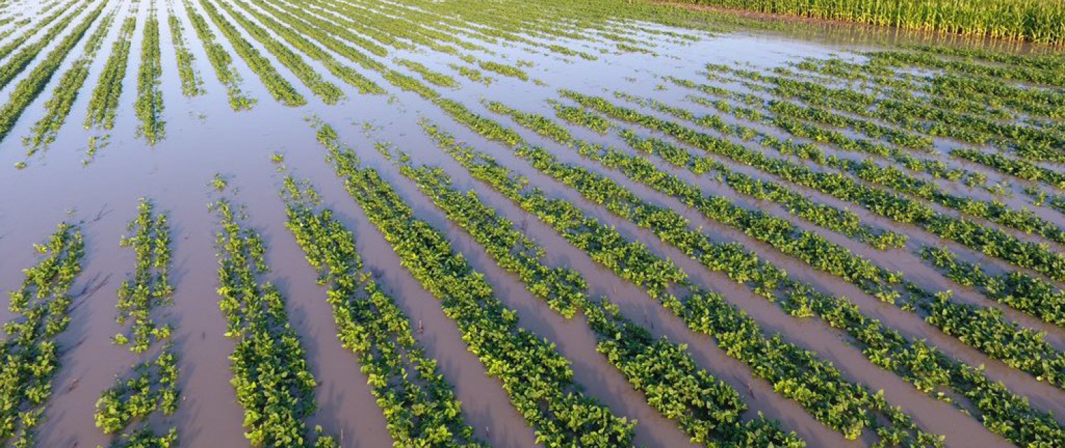 ReSAgri - Resilient & Sustainable ecosystems including Agriculture & food